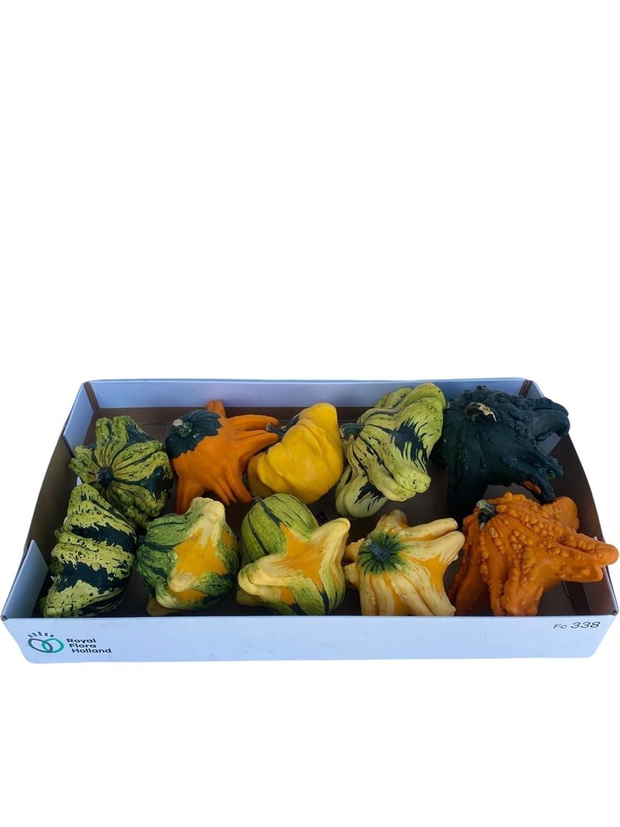 Ornamental Fruits Per Piece
