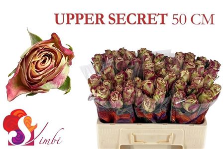 R Gr Upper Secret