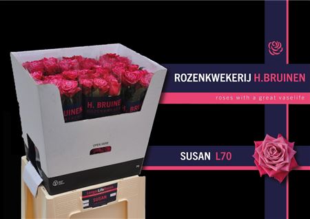R Gr Susan