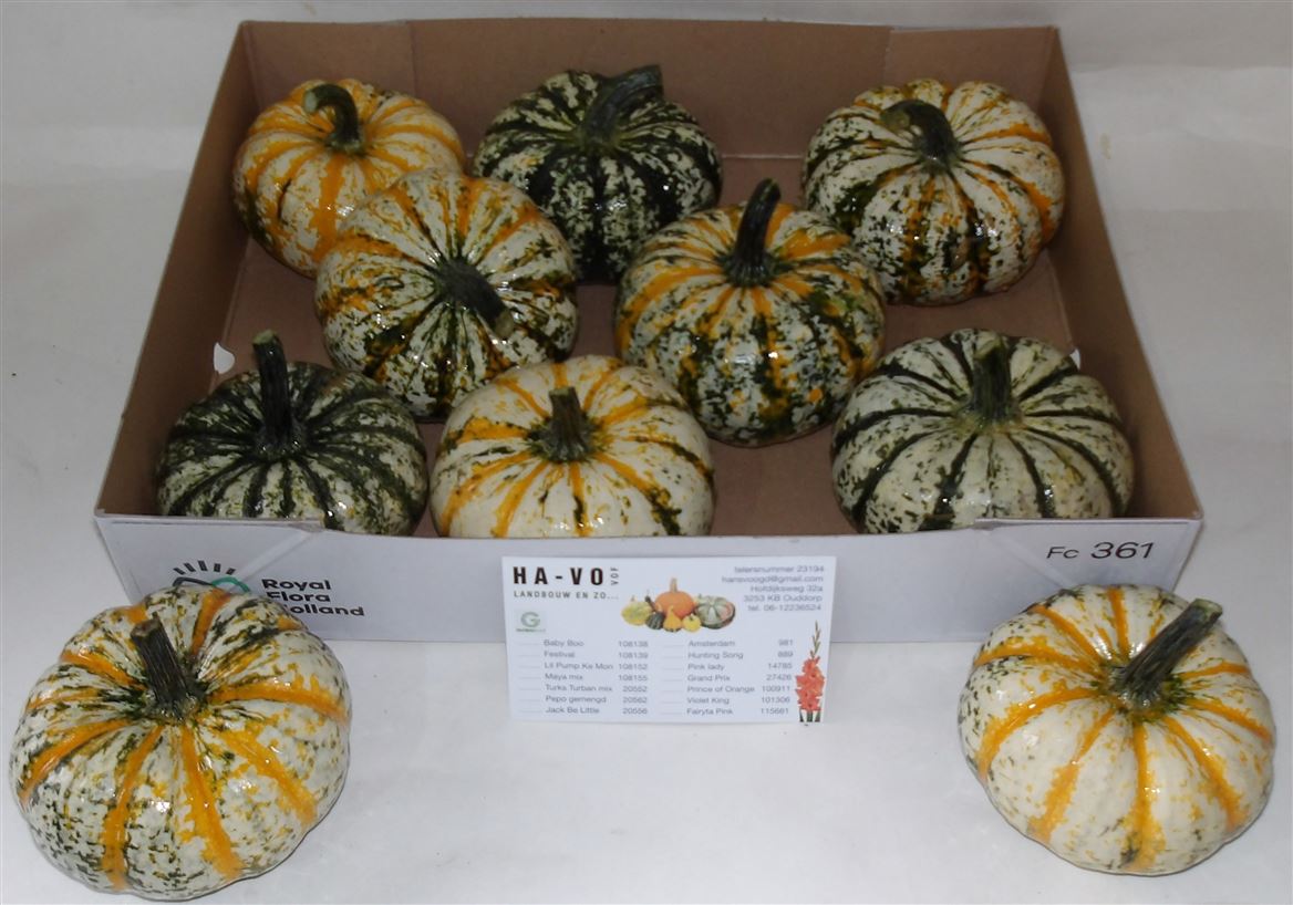 Ornamental Fruits Per Piece