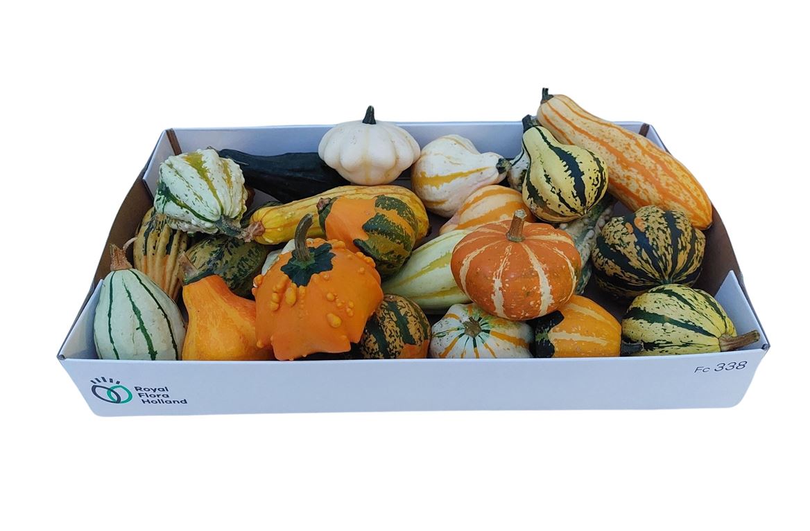Ornamental Fruits Per Piece
