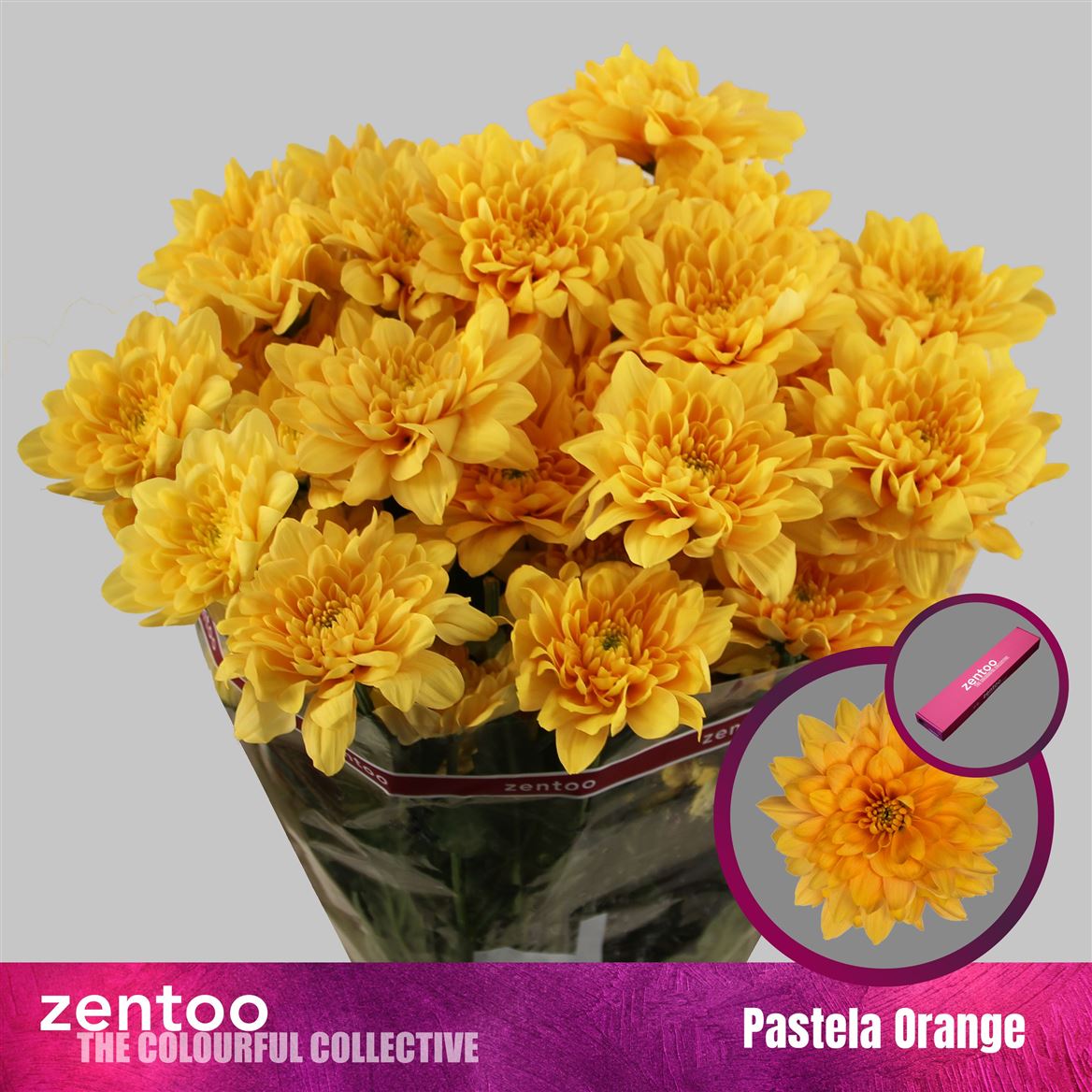 Chrys Spray Pastela Orange 120gram