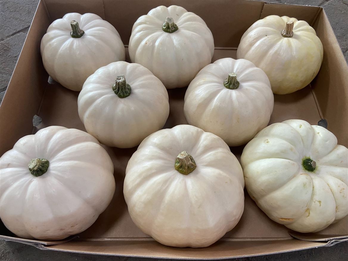Ornamental Fruits Per Piece