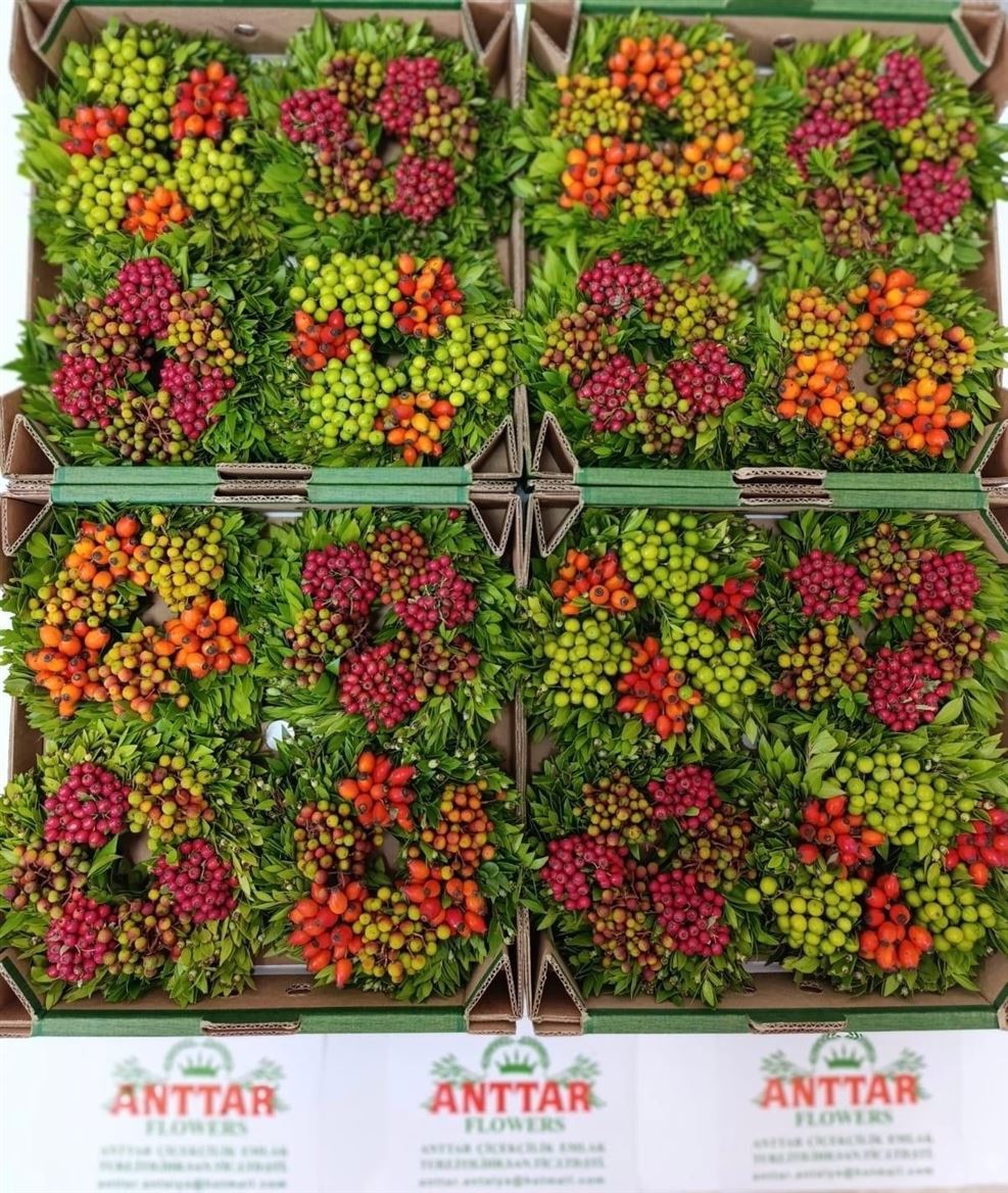 Fruits Malus Per Piece