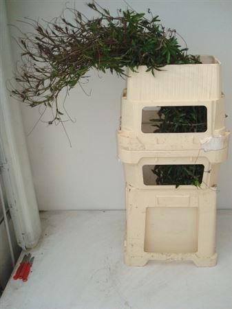 Overige Zomerbloemen 130cm