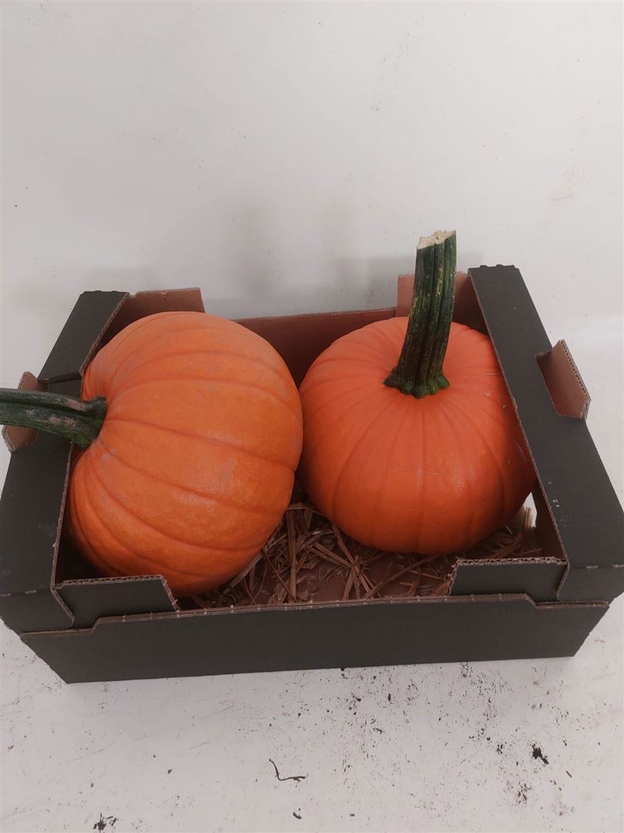 Ornamental Fruits Per Piece