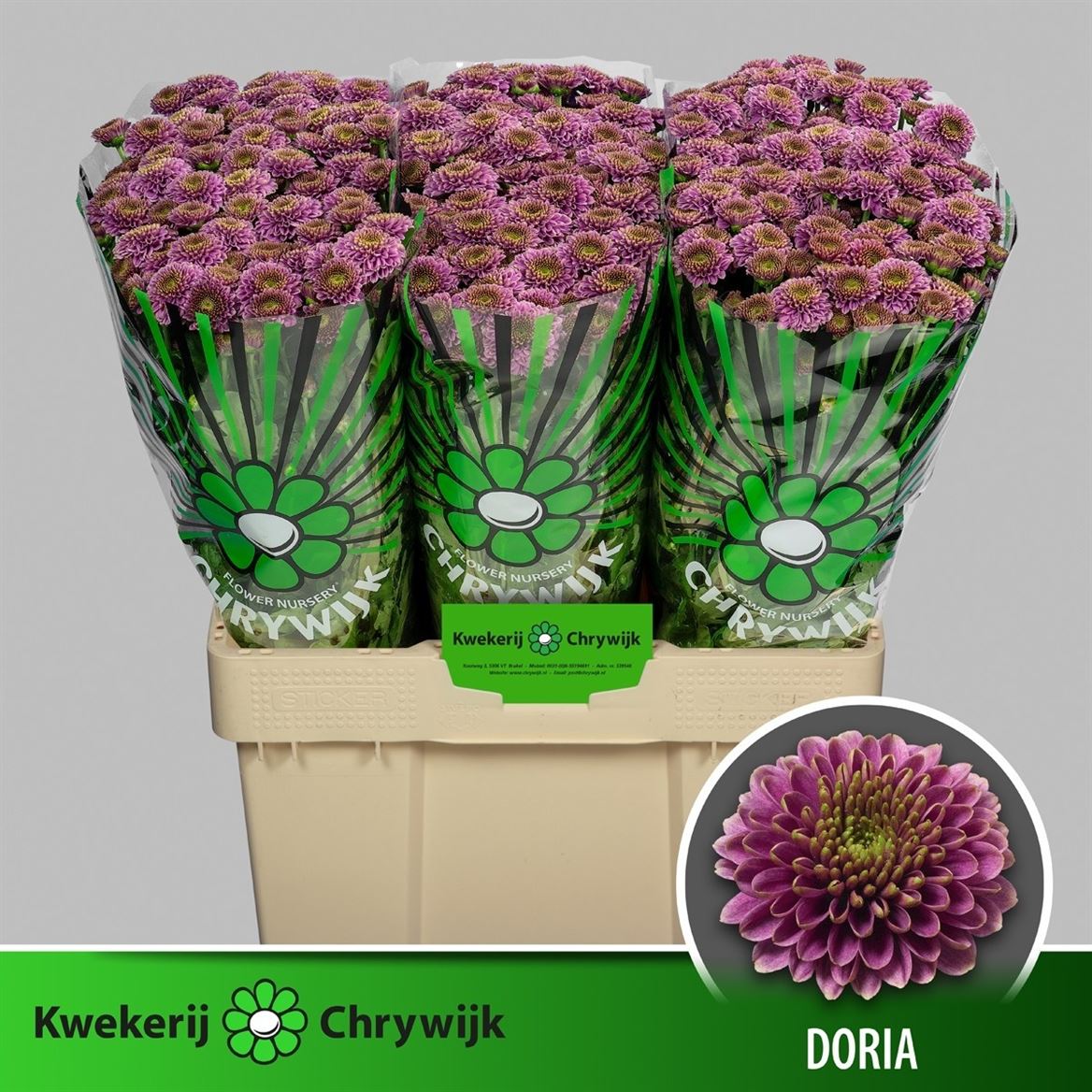 Chrys Santini Doria 55cm 120Ø