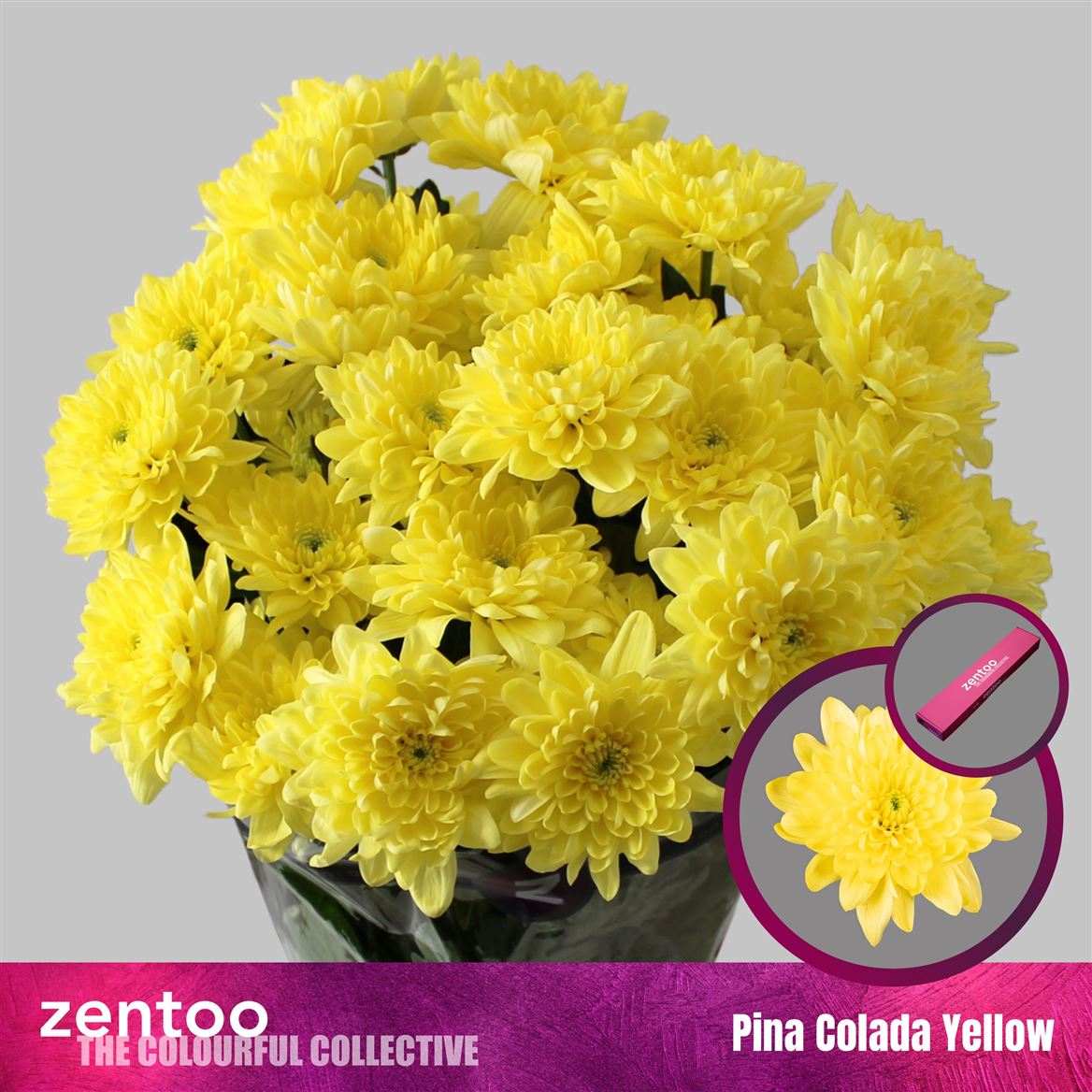 Chrys Spray Pina Colada Yellow 105gram