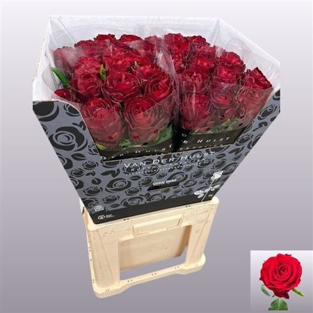 R Gr Anor! 70cm