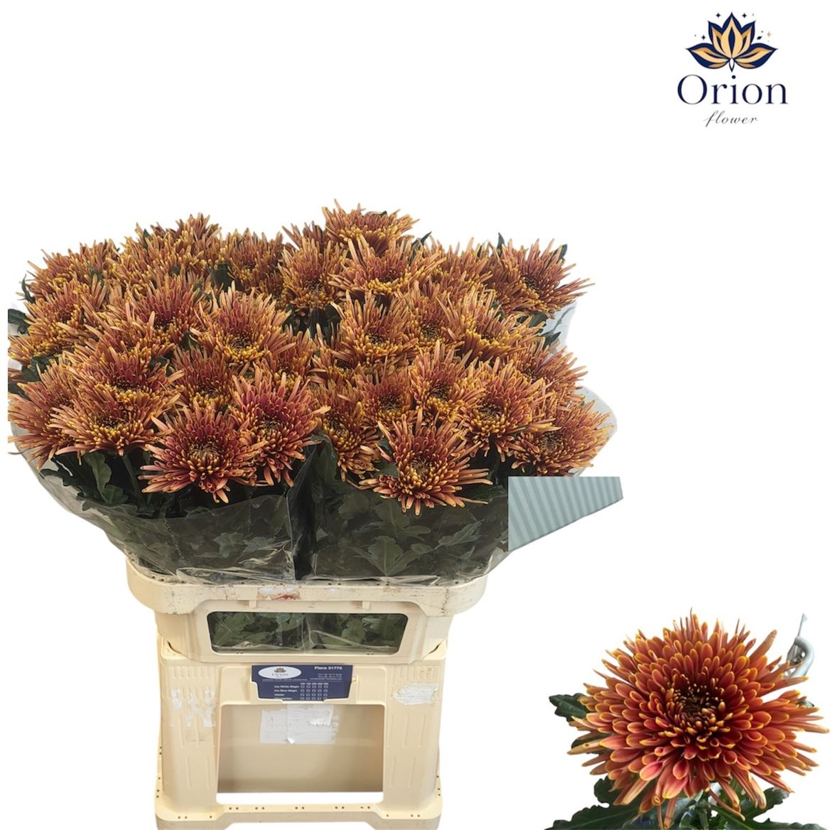 Chr G Tula Copper 80cm 100gram