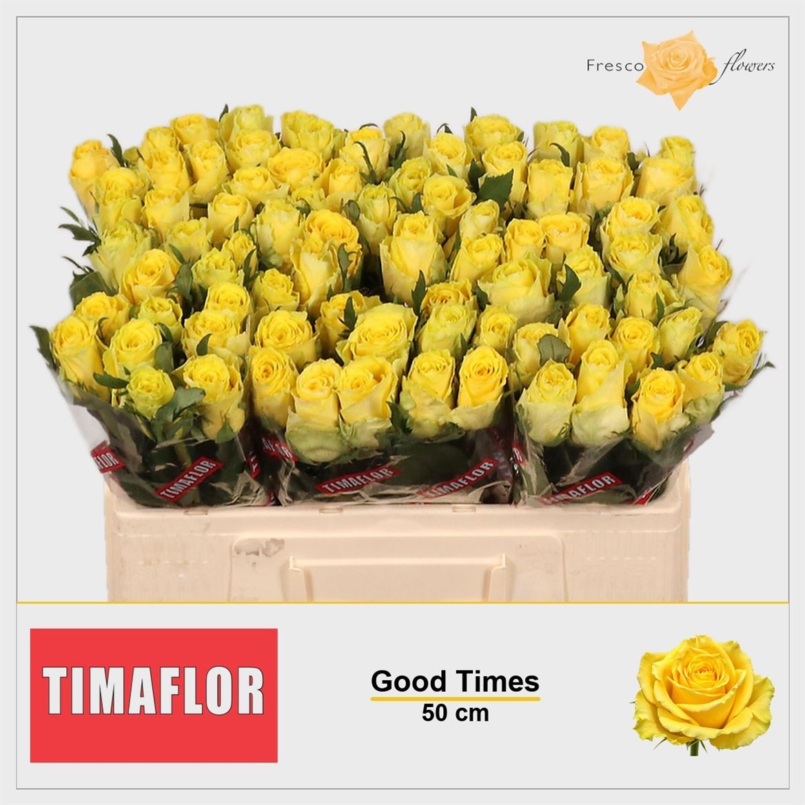 Rosa Good Times 50cm