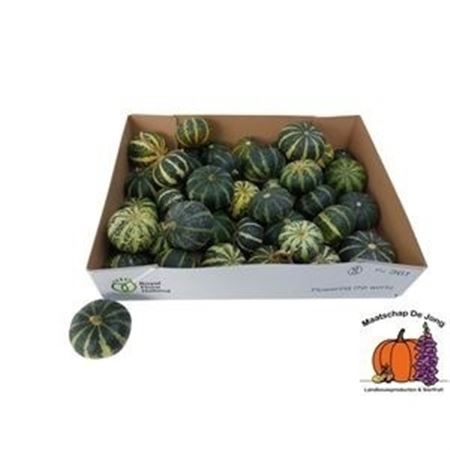 Ornamental Fruits Per Piece