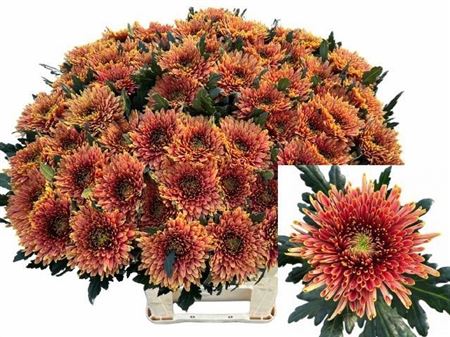 Chr G Tula Copper 80cm 100gram