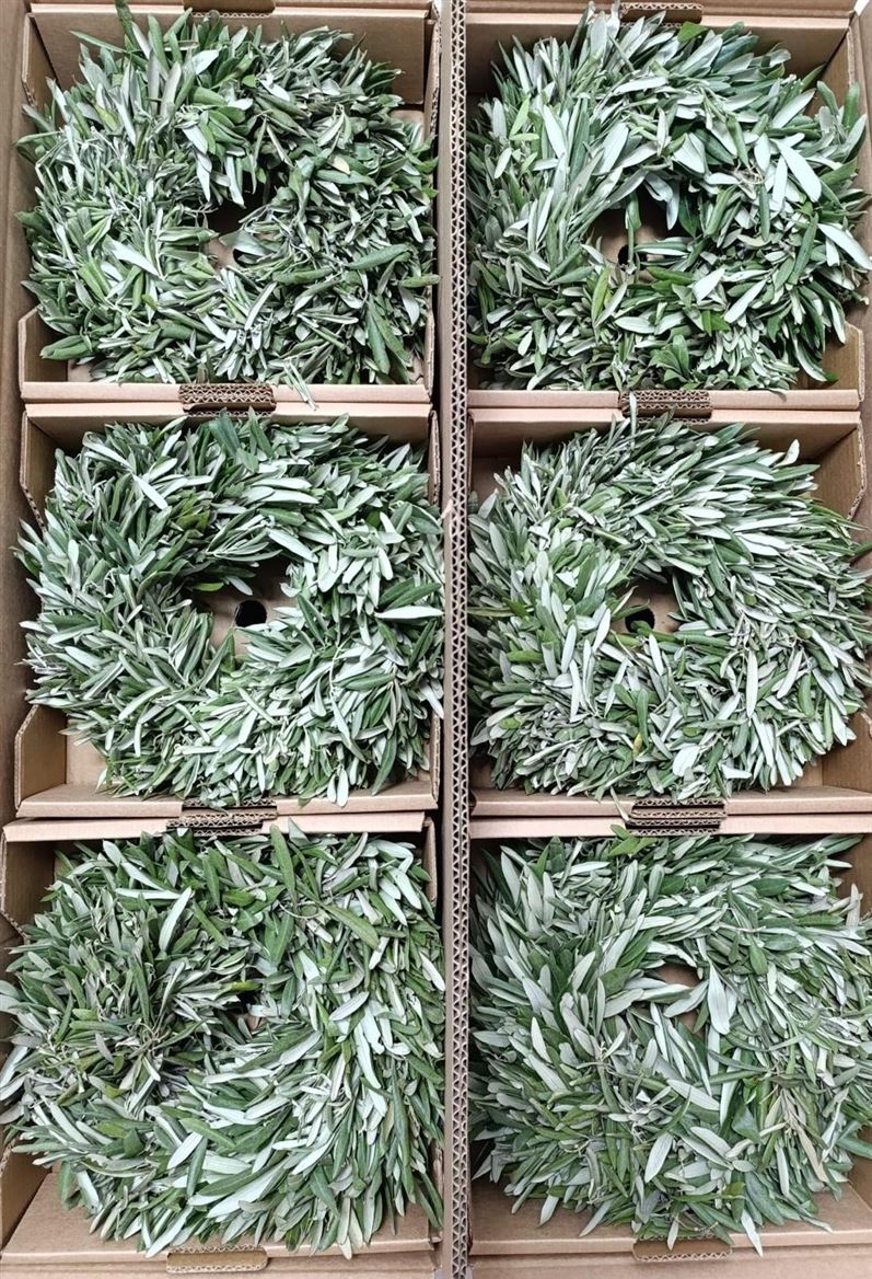 Fruits Malus Per Piece