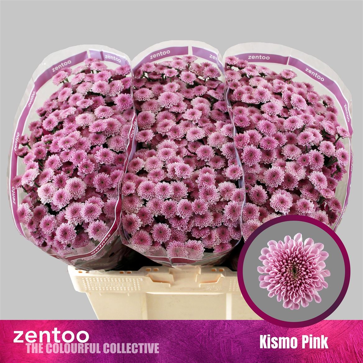 Chrys Santini Kismo Pink 55cm 110Ø