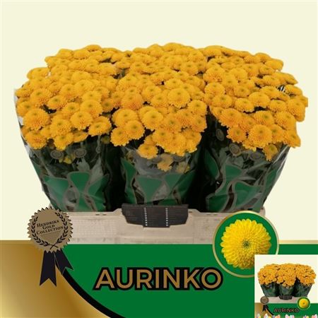 Chrys Santini Aurinko 53cm 100Ø