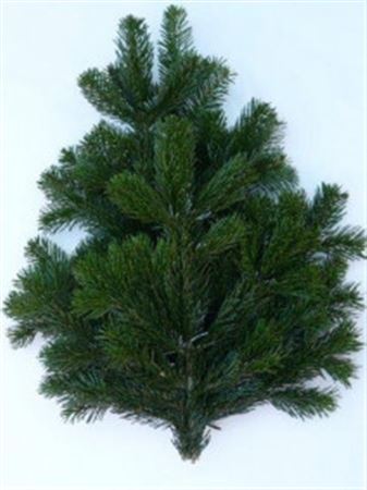 Various Greenery 50cm 500gram