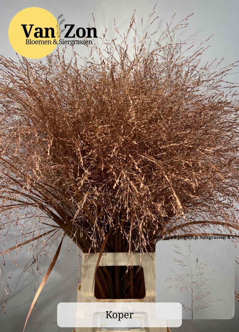 Ov Colrbehandeld 100cm