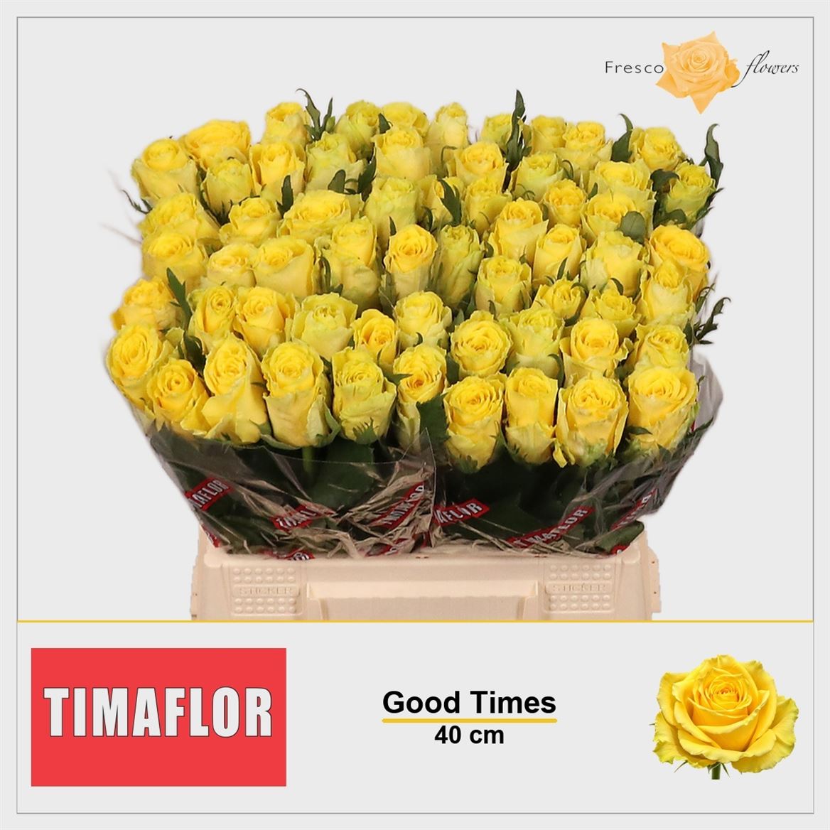 Rosa Good Times 40cm