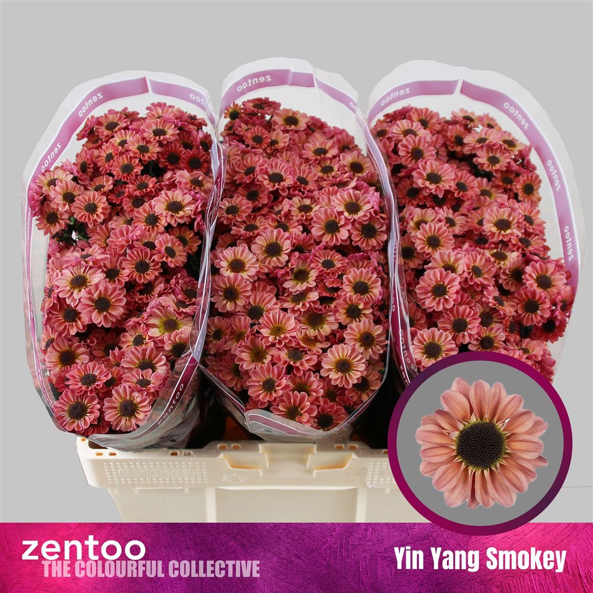 Chrys Santini Yin Yang Smokey 55cm 130Ø