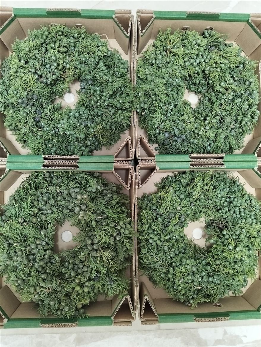 Fruits Malus Per Piece