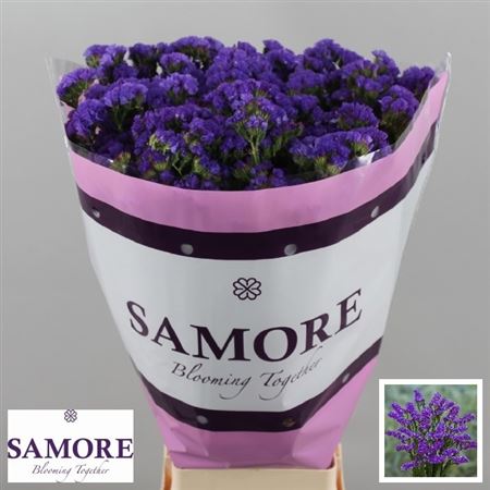 Limonium St Navy Sun Birds 80cm 70gram