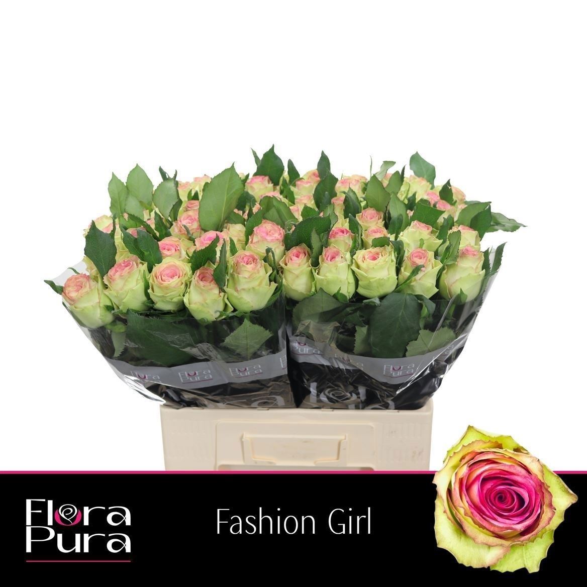 R Gr Fashion Girl 60cm