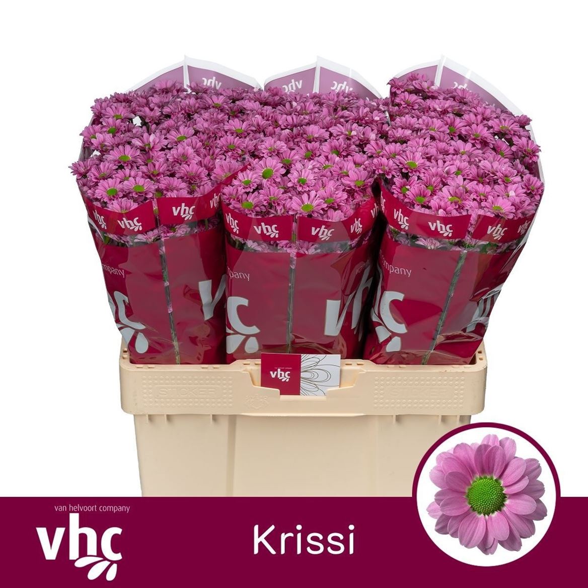 Chrys Santini Krissi 55cm 110Ø