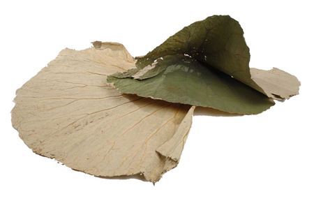 Lotus Leaf Large 10pc