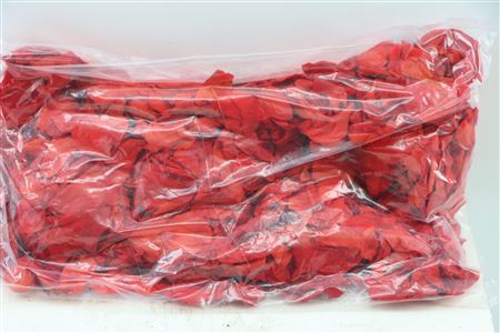 Ro Petals Red Light 500gr